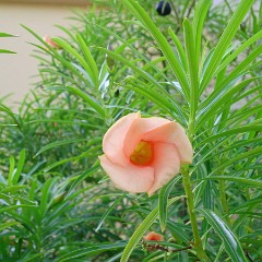 2015-09-05 07-11-10 Hotel